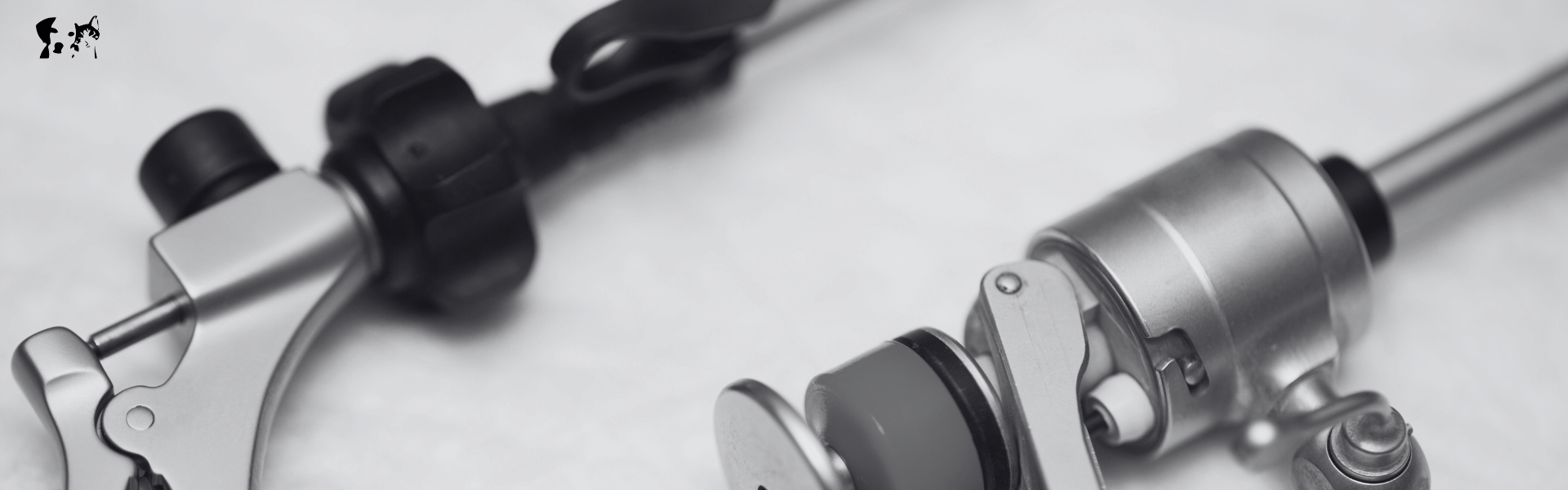 Banner7