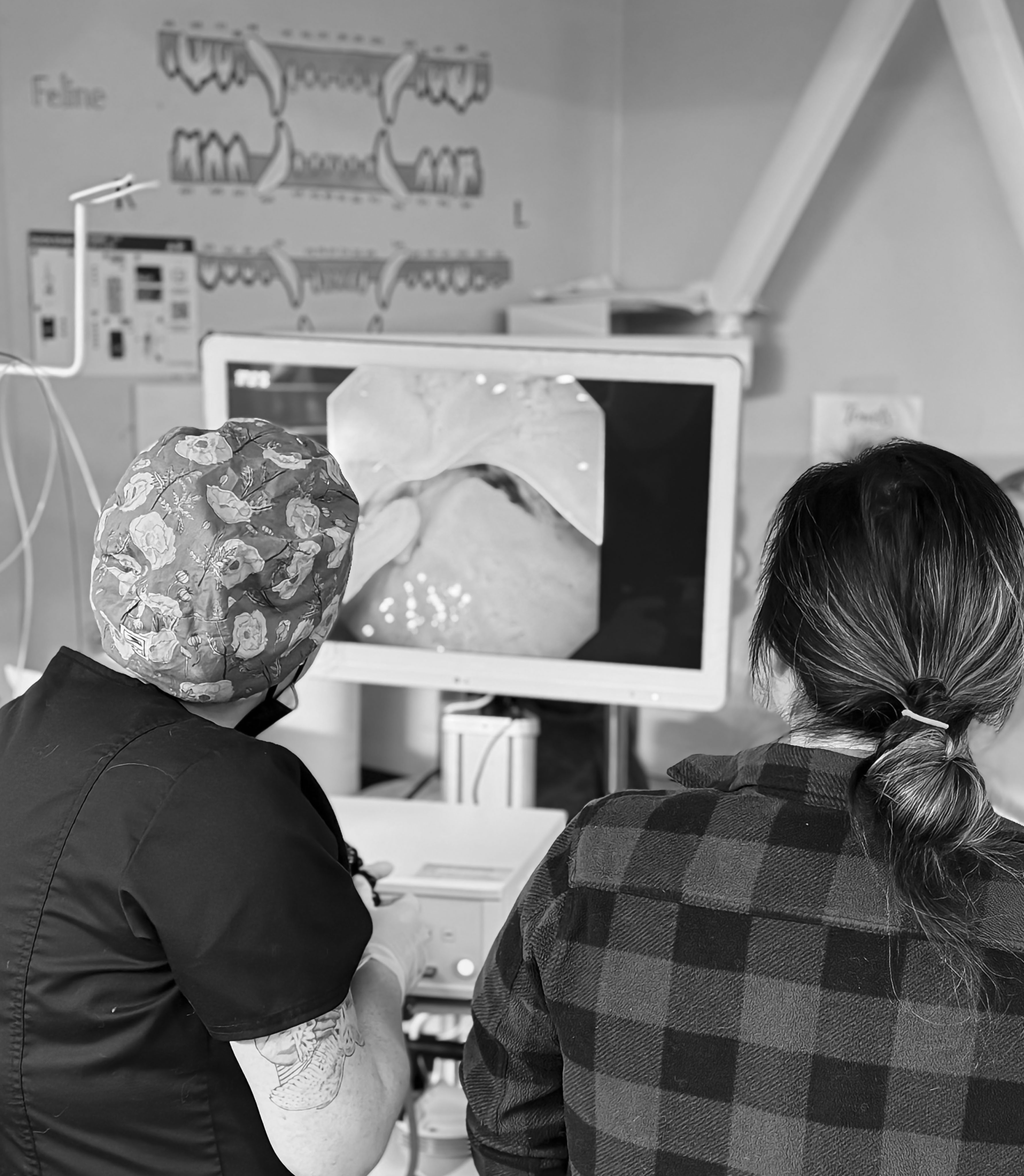 Staff performing an endoscopy