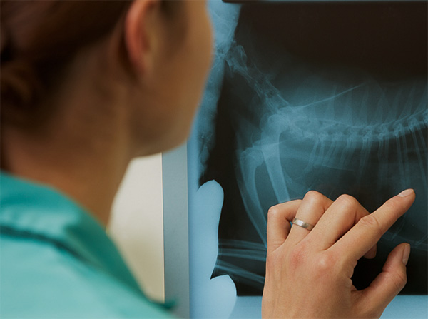Surgical Care Image